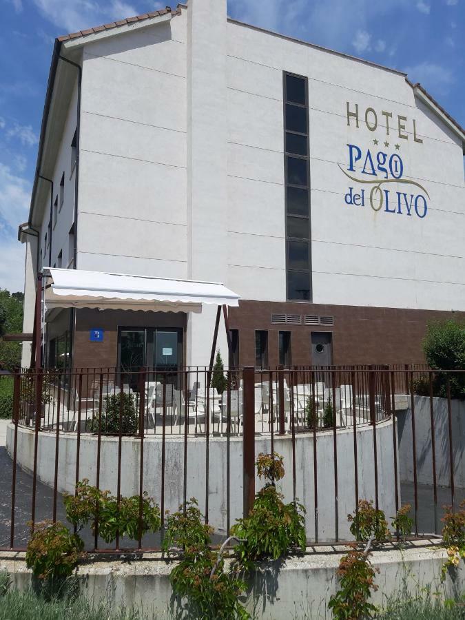 Pago Del Olivo Hotel 3*
